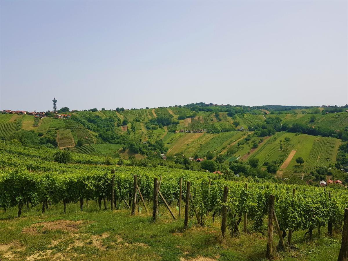 Fado Apartments Lendava Dış mekan fotoğraf